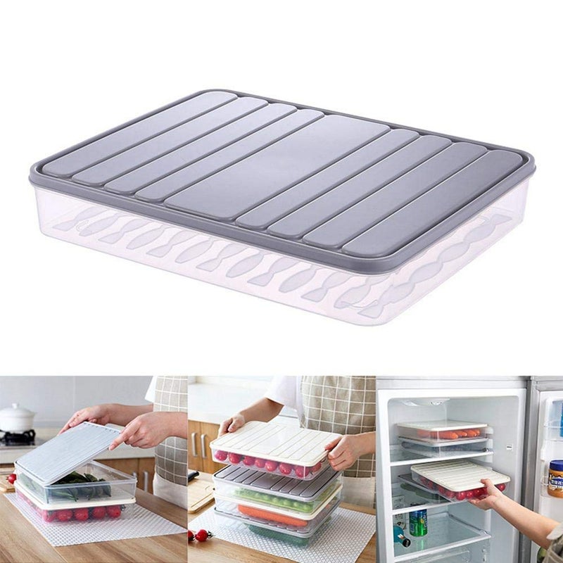 Naranqa Food Storage Bin Vegetable Organizer with Lid Clear Fridge Crisper Keep Food Fresh BPA Free Kitchen Organizer Bins (Grey-L-SIZE with MAT) - Image 1